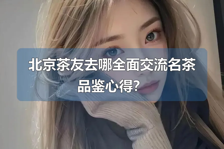 北京茶友去哪全面交流名茶品鉴心得?